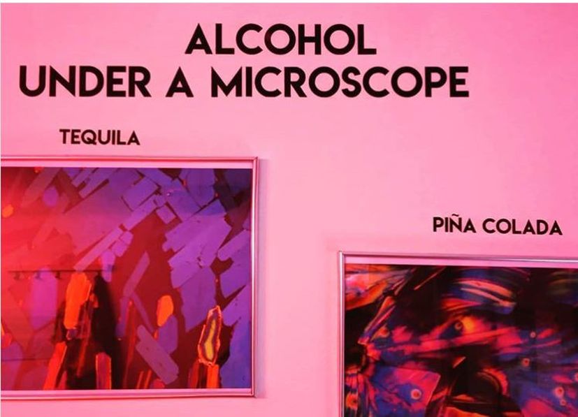 Museum of Hangovers Zagreb- History of Alcoholic Drinks exhibition opens22