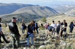 Reforestation of mountains overlooking Split continues