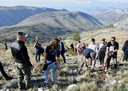 Reforestation of mountains overlooking Split continues