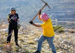 VIDEO: Split scouts celebrate 100th birthday with tree planting in Dalmatia