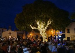 ‘Najstarija Medulinka’ named Croatia’s Tree of the Year