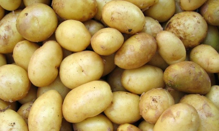 Croatia to export surplus potato to Ukraine