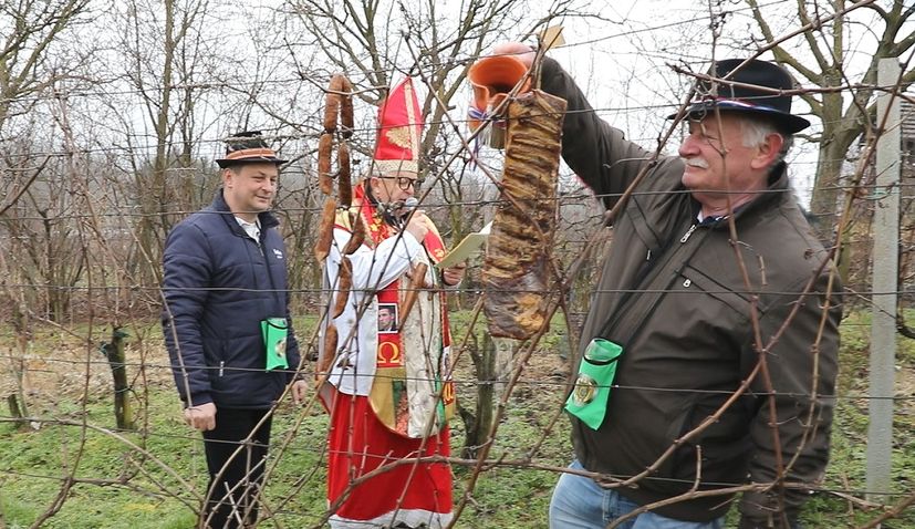 Croatian traditions on Vincekovo celebrated on 22 January 