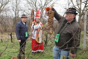 Croatian Traditions on Vincekovo celebrated on 22 January
