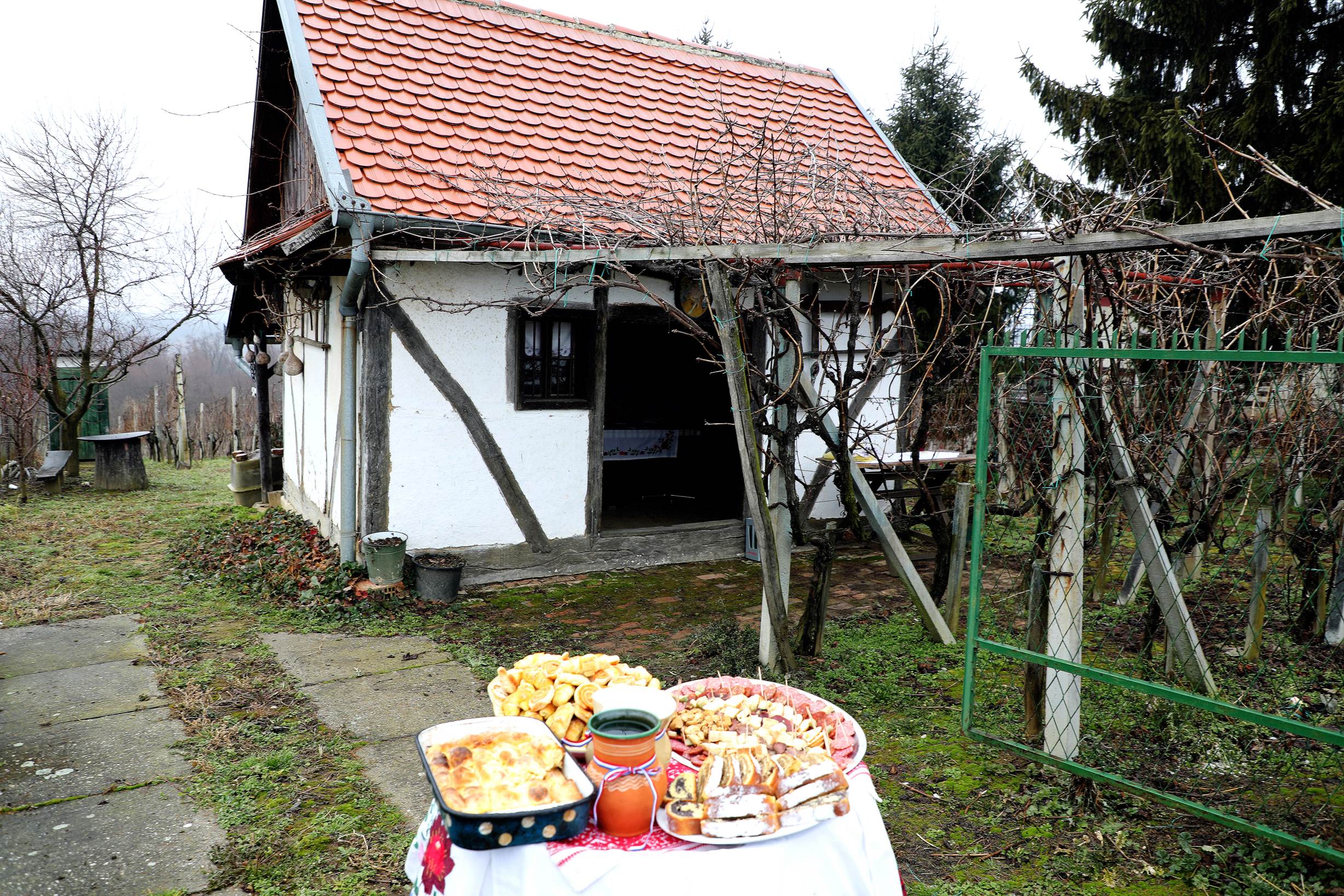 Croatian Traditions on Vincekovo celebrated on 22 January 
