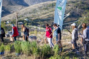 Croatian Scout Association wins European award for Boranka campaign