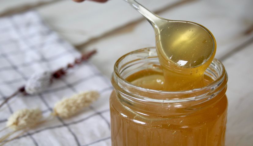Action to protect Istrian honey in Europe launched