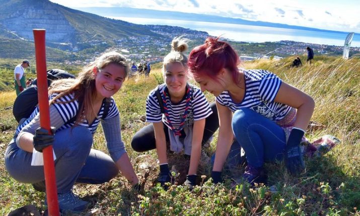 More than 100,000 seedlings planted across Dalmatia in Boranka campaign