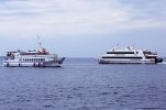 Split faculty developing project to build electric passenger ferries
