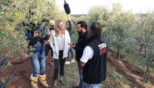 Family-run Croatian organic olive oil producers featuring in series The Global Farm