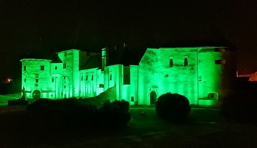 Nine cities in Croatia to take part in Global Greening to mark St. Patrick’s Day 