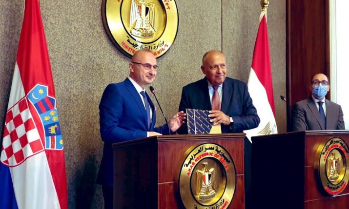 Croatia donates 100 books for new capital city of Egypt