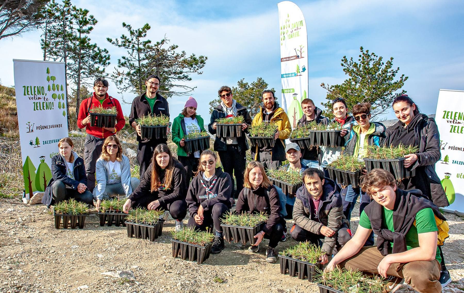  Scout association of Split plants 2,200 new trees