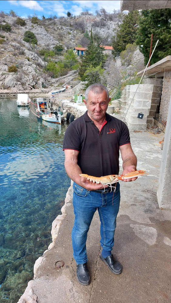 World record: Croatian fisherman catches longest scampi near Pag bridge 