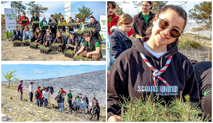 PHOTOS: Split scout project plants 2,200 new trees in fire-damaged areas