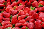Vrgorac strawberries: What makes them so good and how to recognise them