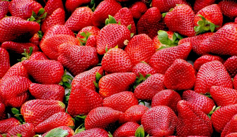 Vrgorac strawberries: What makes them so good and to recognise them