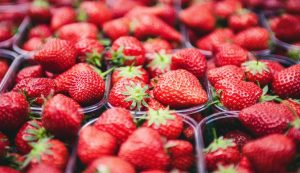 strawberries from Vrgorac