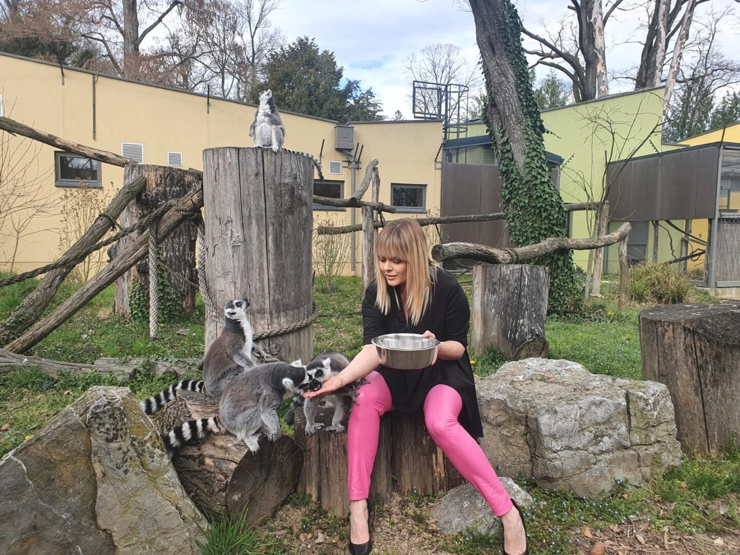 Zagreb Zoo gets its own anthem 'Zoo Song'