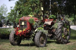 55th Floraart show to take place at Zagreb's Lake Bundek on 10-16 May