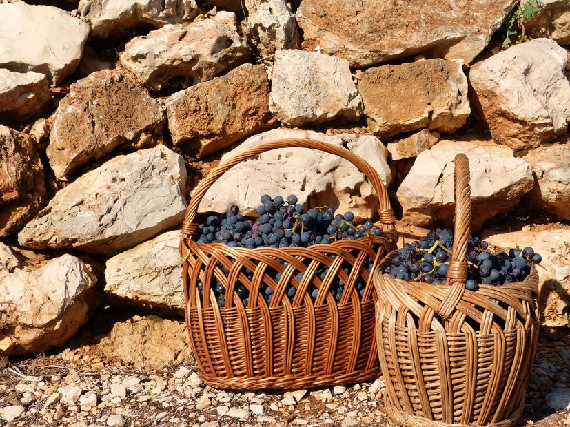 A month of wine hedonism on Croatia’s Pelješac peninsular