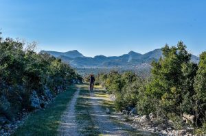 Pelješac: Interactive map with mountain bike and hiking routes