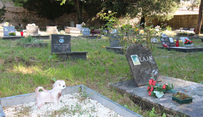 Pet cemetery in Rijeka – one of the world’s oldest – to be used again
