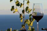 Pelješac Wine Festival: Cellars and restaurants in Croatia’s famous wine region to open their doors  