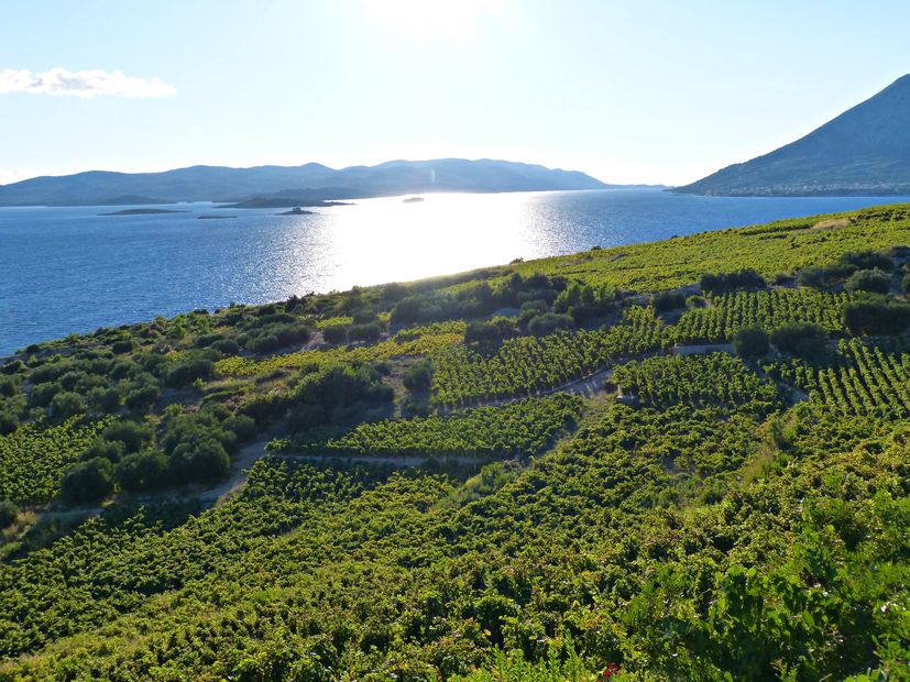 Pelješac: Reasons to visit Dalmatia's largest peninsula this summer 