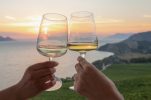 Croatian wine enthusiasts announce first International Pošip Day