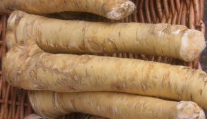 Ludbreg horseradish protected geographical indication