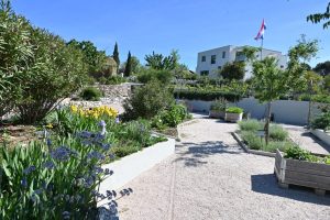 new Olive Museum in Klis opens