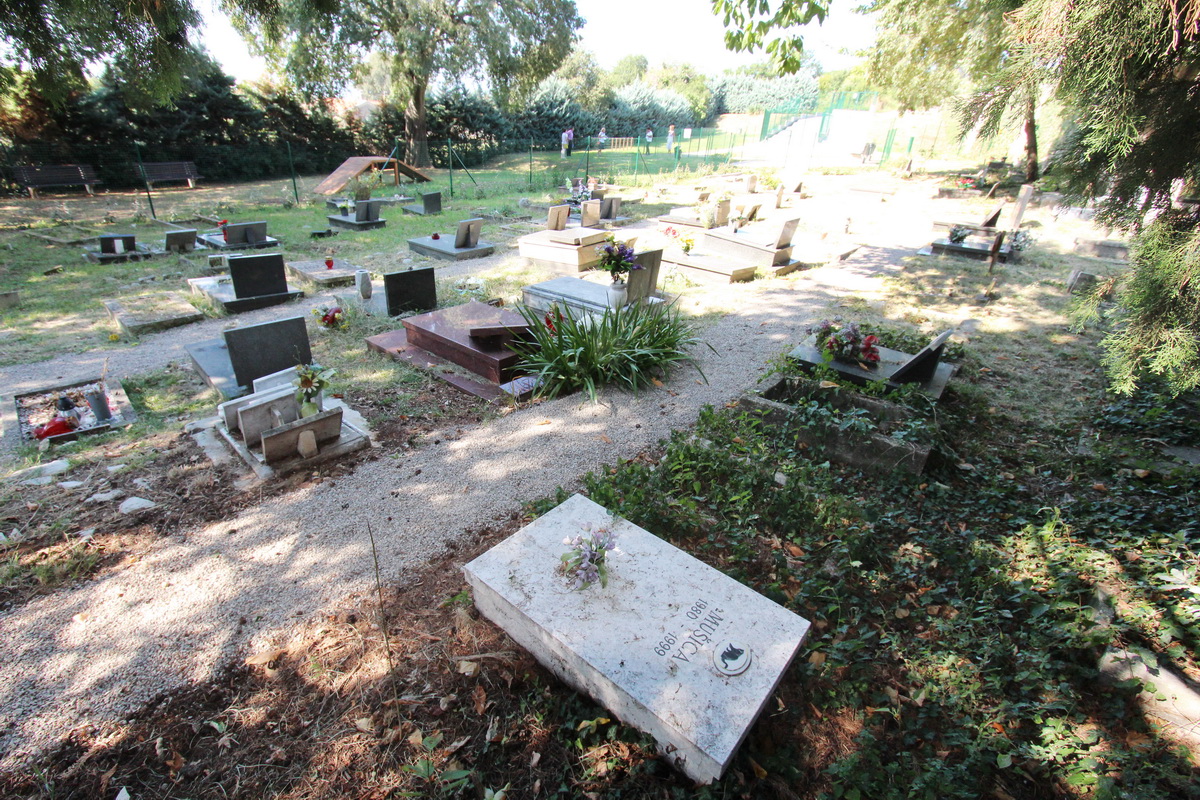 Pet cemetery in Rijeka - one of the world’s oldest - to be used again