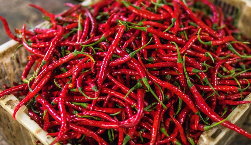 Croatian chili pepper grower wins young farmer of the year title