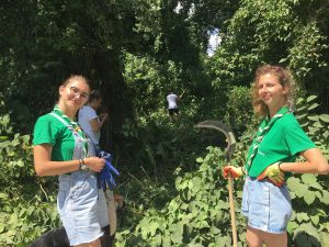 City Windows in Nature project starts in Zagreb