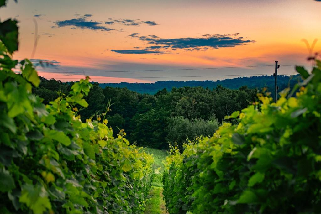 5 reasons why food and wine lovers should visit Croatia’s Moslavina region 