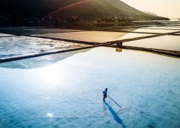 Salt festival on Pelješac will be bigger and better this year