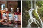 Craft gin inspired by the beauties of Croatia’s Papuk Nature Park 
