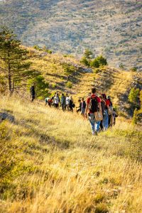 Europe’s largest volunteer afforestation action starts again in Dalmatia