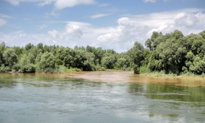 Mura-Drava-Danube proclaimed a UNESCO biosphere reserve
