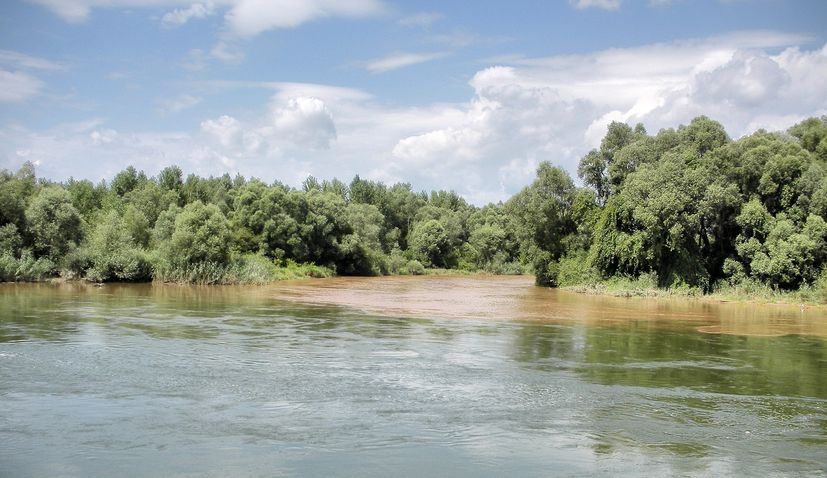 Mura-Drava-Danube proclaimed a UNESCO biosphere reserve