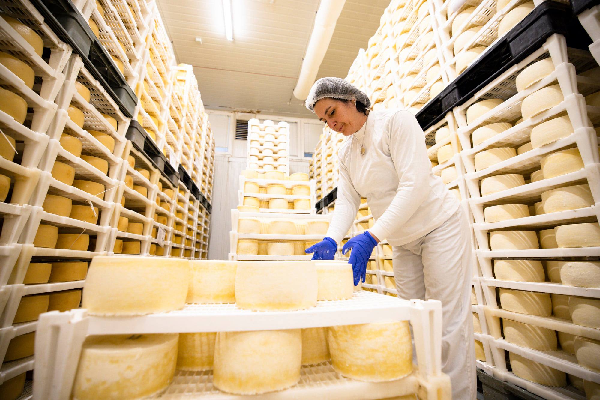 Cheeses from Croatia's Gligora awarded at UK's Great Taste Awards 2021