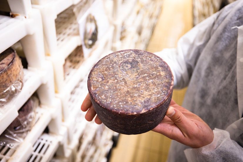 Cheeses from Croatia's Gligora awarded at UK's Great Taste Awards 2021