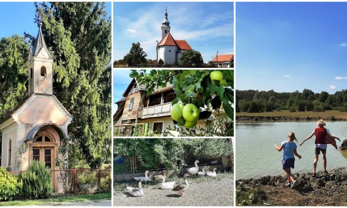 A trip to Croatia’s Gornja Posavina – home of the famous Radić brothers