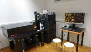 Zagreb's Ruđer Bošković Institute gets super-resolution microscope