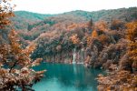 Croatian forests in world’s top five for CO2 absorption