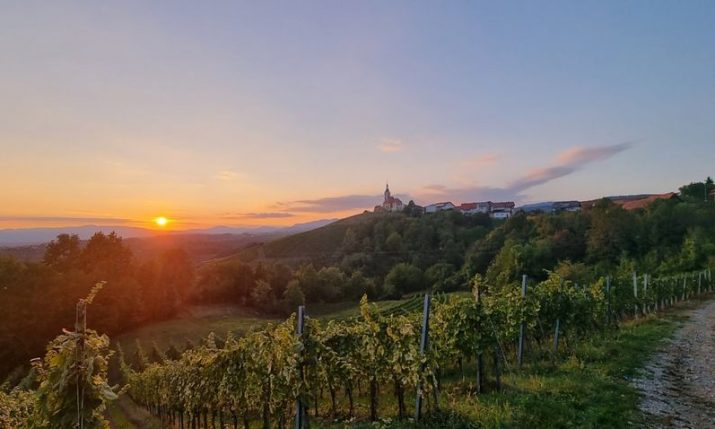Vivodina Wine and Walk: Discover top continental Croatian wines