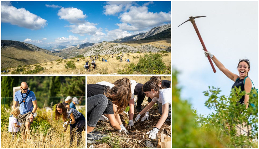Australians, Brits and South Africans join locals in afforestation action in Split 
