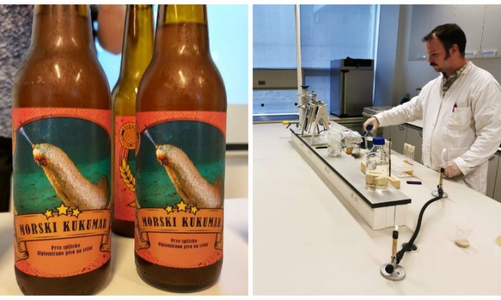 Croatian scientists make beer from yeast isolated from the sea