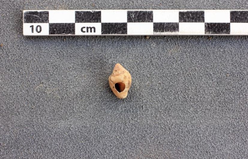 Great archaeological finds discovered in a cave on Hvar